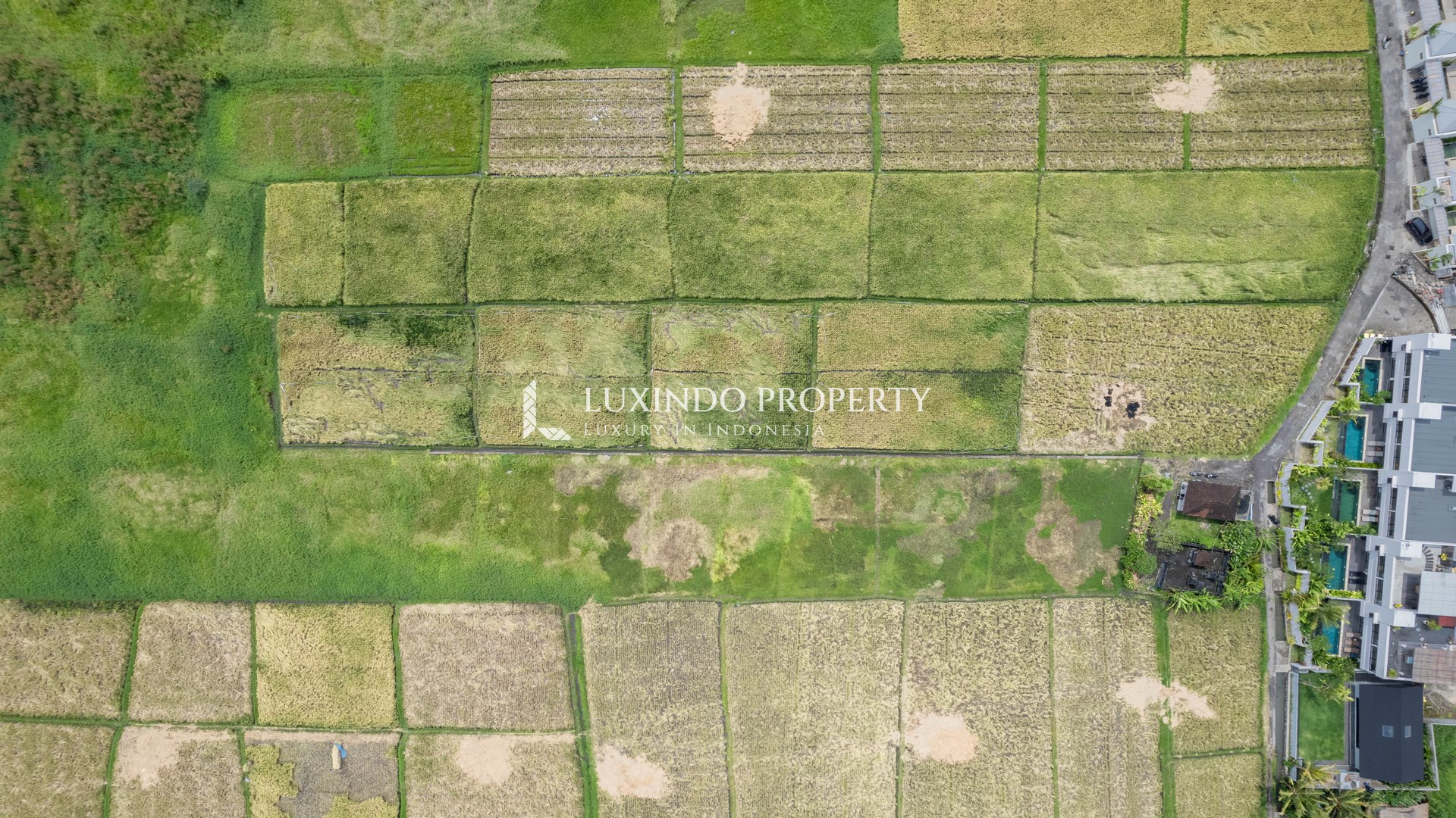 KEDUNGU - FREEHOLD LAND NEAR THE BEACH (FHL617)